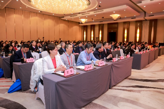 1704184275762294.png 888.png